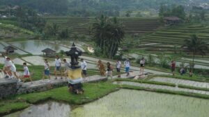 pariwisata hijau