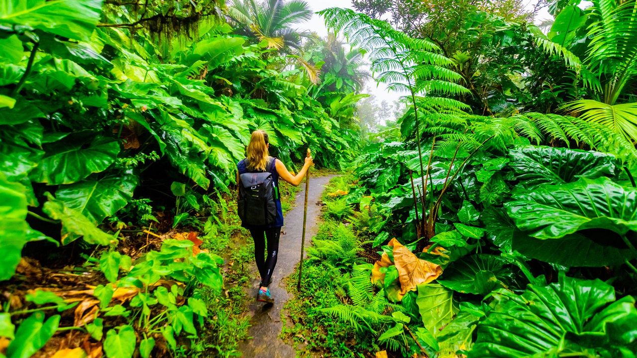 Wisata alam Indonesia